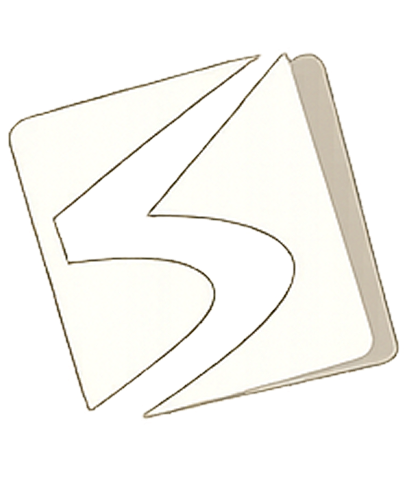 Shabab Emblem